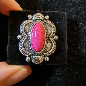 Paparazzi Silver and Pink Brooch